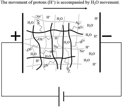 Sliding Walk With Friction Control of Double-Network Gel on Feet of Inchworm Robot